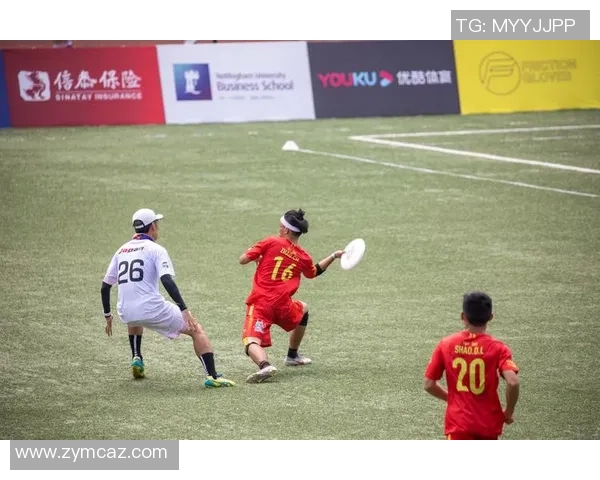 飞盘新手必看：轻松掌握团队协作技巧与实战经验分享